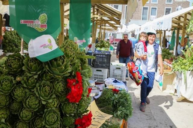 Urla Enginar Festivali Turu