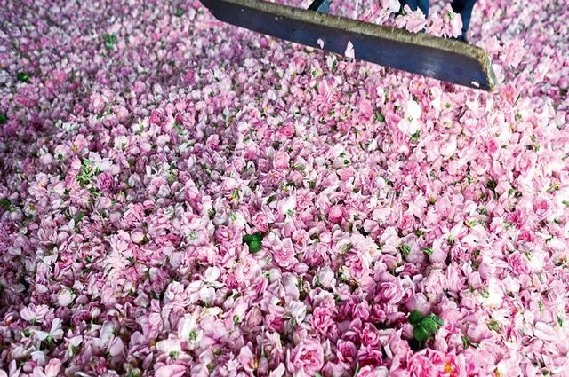 Isparta Gül Bahçeleri & Salda Gölü Turu
