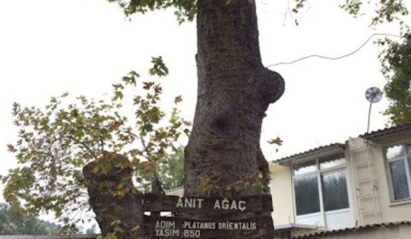 Her Cuma Kazdağı Şelale Turu