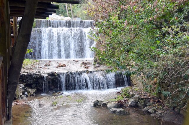 Kartepe Kayak Merkezi - Maşukiye - Ormanya Turu