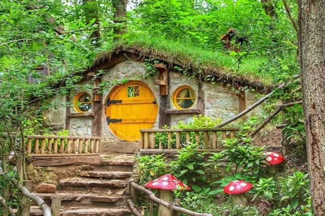 Kartepe Kayak Merkezi - Maşukiye - Ormanya Turu