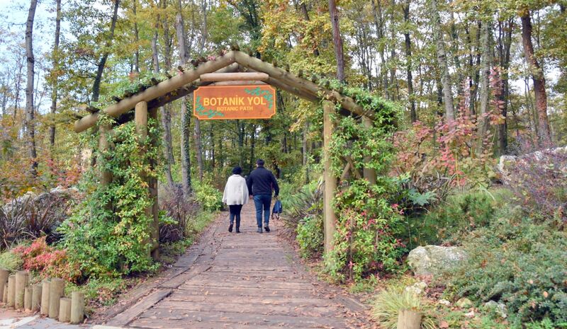 Bolu Mudurnu - Abant Gölü - Ormanya Turu