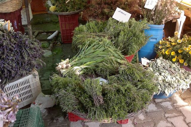 Alaçatı Ot Festivali Turu