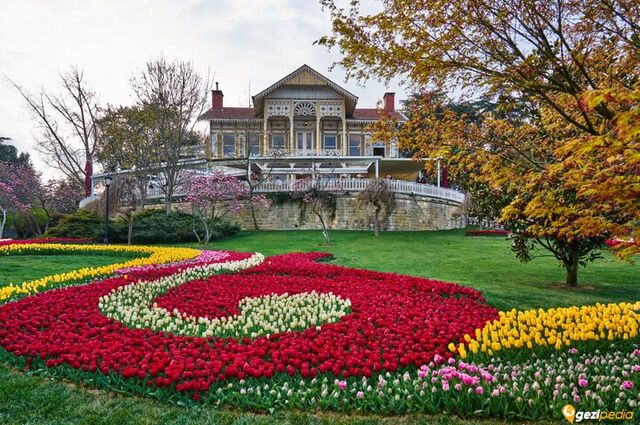 İstanbul Lale Festivali Turu