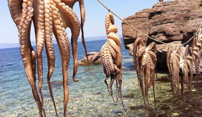 Yılbaşı Midilli Turu 2 Gece 4*Blue Sea Hotel