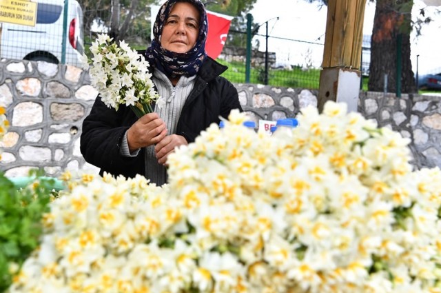 Karaburun Nergis Festivali Turu
