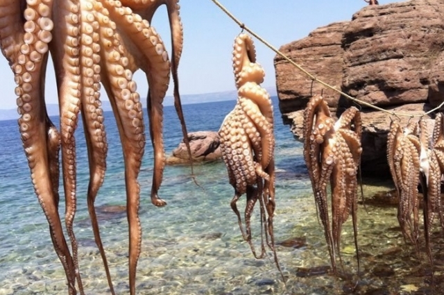 Yılbaşı Midilli Turu 2 Gece 3*Silver Bay Hotel 