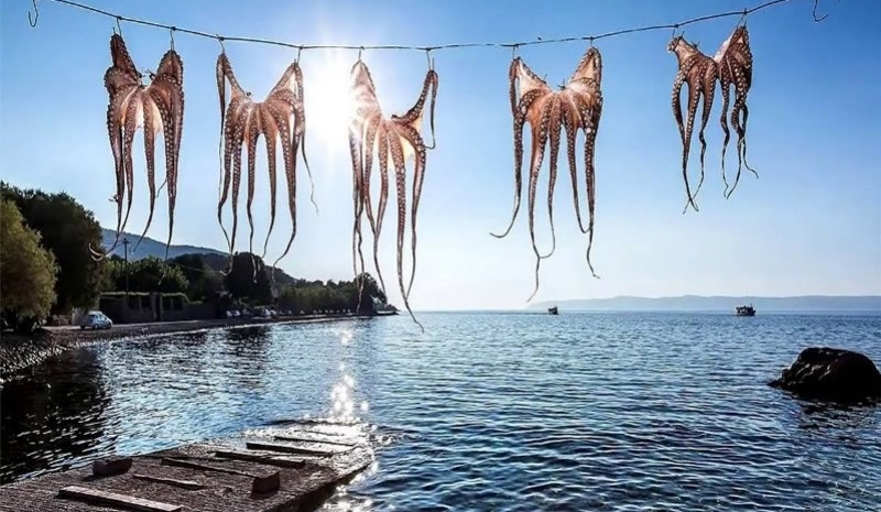 Midilli Turu Her Cuma Ayvalık Çıkışlı