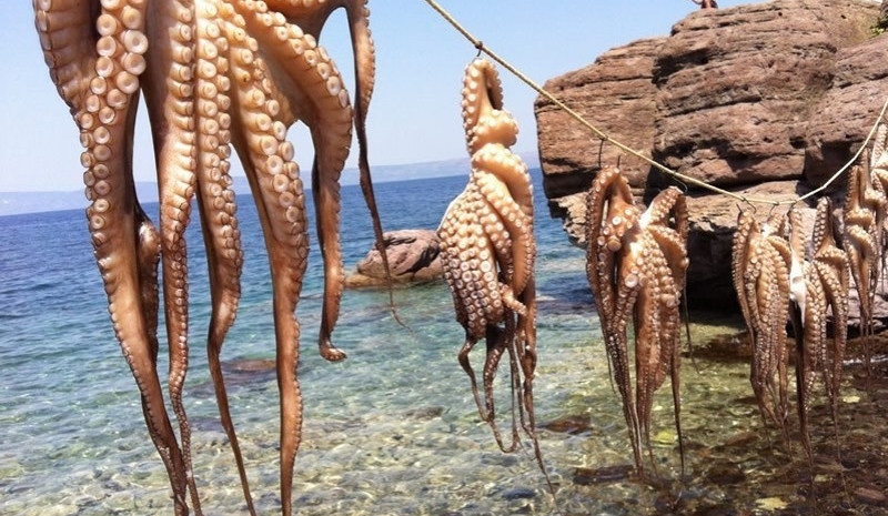 Yılbaşı Midilli Turu 2 Gece 3*Silver Bay Hotel